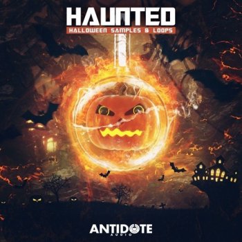Сэмплы Antidote Audio Haunted: Halloween Samples & Loops