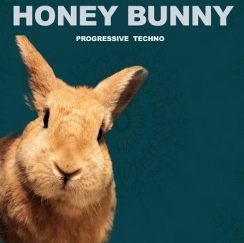 Сэмплы Honey Bunny Progressive Techno
