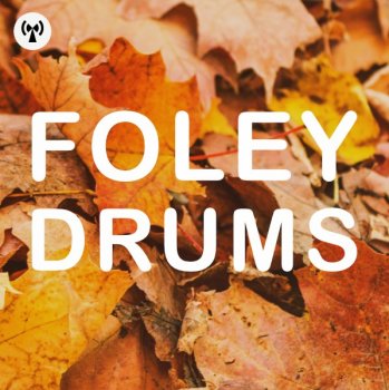 Сэмплы Noiiz Foley Drums