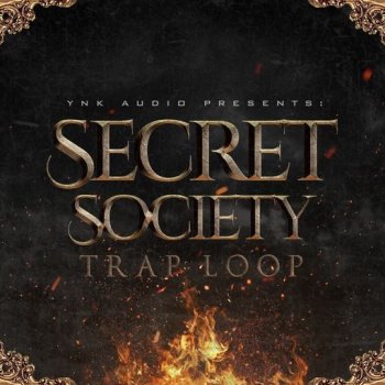 Сэмплы YnK Audio Secret Society
