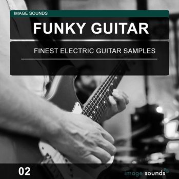 Сэмплы гитары - Image Sounds Funky Guitar 02