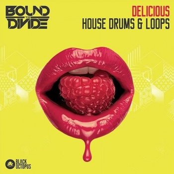 Сэмплы Black Octopus Sound Delicious House Drums and Loops