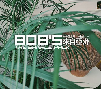 Сэмплы DELAY 808's from Asia The Sample Pack