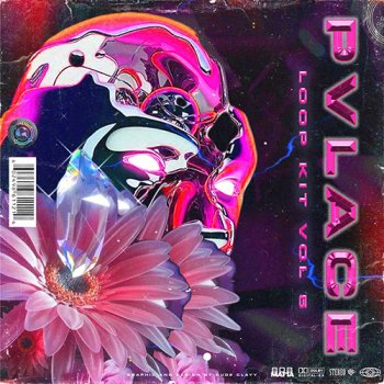 Сэмплы PVLACE Loop Kit Vol 5