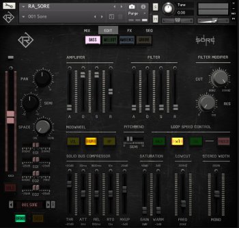 Библиотека сэмплов - Rigid Audio Sore v1.0 (KONTAKT)