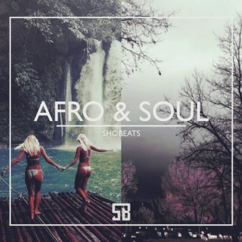 Сэмплы Shobeats Afro And Soul