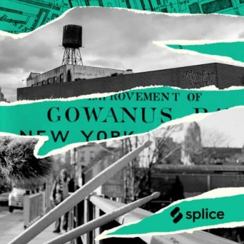 Сэмплы Splice Sounds Gowanus Street Percussion