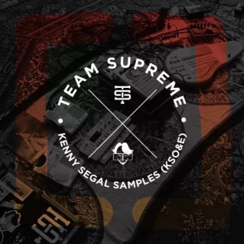 Сэмплы Splice Sounds Team Supreme Kenny Segals Odds and Ends