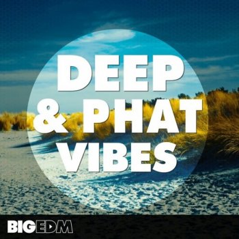 Сэмплы Big EDM Deep And Phat Vibes