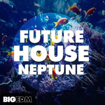 Сэмплы Big EDM Future House Neptune
