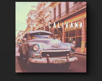 Сэмплы TrackGod Sound Calivana