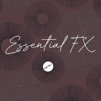 Сэмплы Raw Loops Essential FX