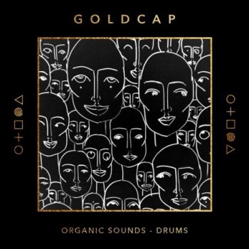 Сэмплы Splice Goldcap Organic Sounds Drums & Percussion
