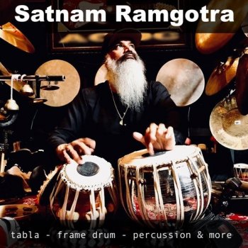 Сэмплы The Loop Loft Satnam Ramgotra Vol 1