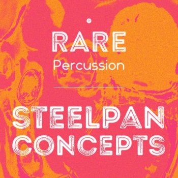 Сэмплы RARE Percussion Steelpan Concepts