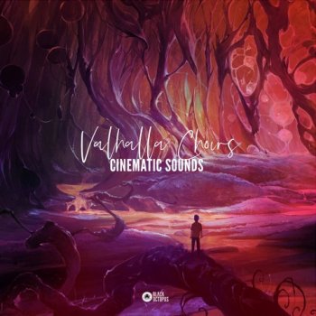 Сэмплы Black Octopus Sound Cinematic Sounds Valhalla Choirs
