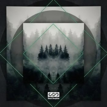 Сэмплы Soul Surplus Earth Tone