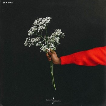 Сэмплы Touch Loops Silk Soul