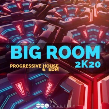 Сэмплы Audentity Records Big Room 2k20