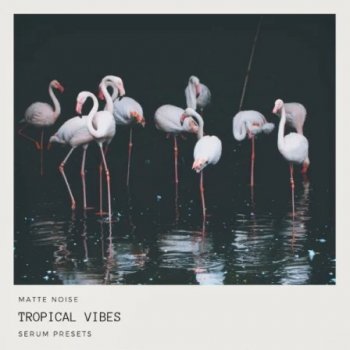 Сэмплы GOGOi Tropical Vibes