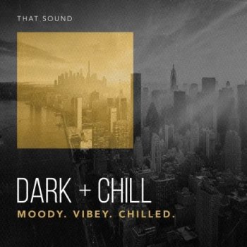 Сэмплы ударных - That Sound Dark + Chill