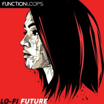 Сэмплы Function Loops Lofi Future