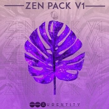 Сэмплы Audentity Records Zen Pack Vol.1