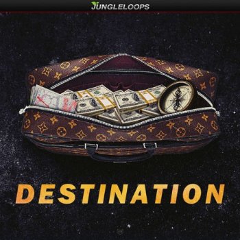 Сэмплы Jungle Loops Destination