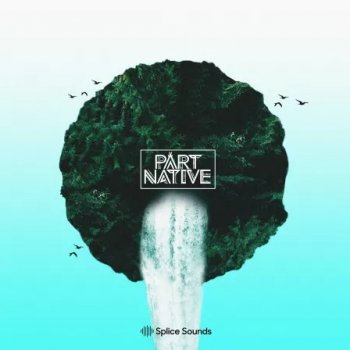 Сэмплы Splice Sounds Part Native Pack