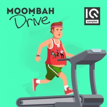Сэмплы IQ Samples Moombah Drive