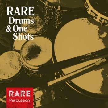 Сэмплы RARE Percussion Drums & One Shots