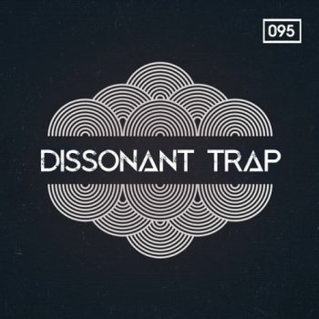 Сэмплы Bingoshakerz Dissonant Trap
