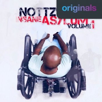 Сэмплы Nottz's Insane Asylum Volume 1