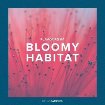 Сэмплы HelloSamples Flavours 4 Bloomy Habitat
