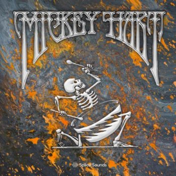 Сэмплы Splice Sounds Mickey Hart Sample Pack