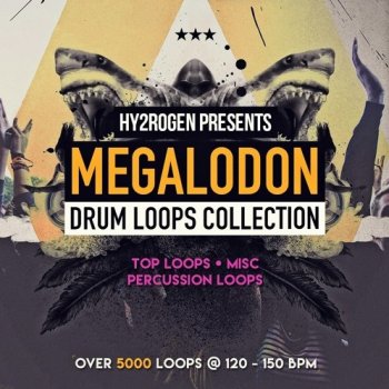 Сэмплы HY2ROGEN Megalodon Drum Loops Collection