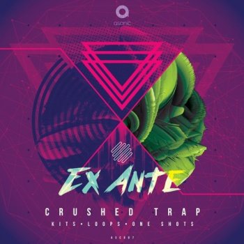 Сэмплы Asonic Ex Ante