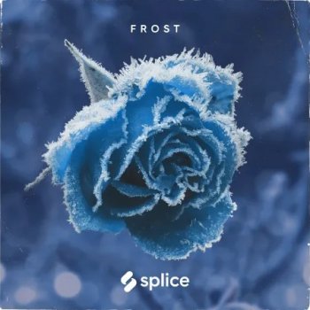 Сэмплы Splice Originals Frost February RnB