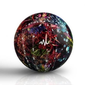 Сэмплы DT x Ryan Bevolo Shotcall Loop Kit