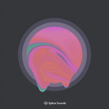 Сэмплы Splice Sounds Gill Chang Words Unspoken Sample Pack