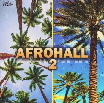 Сэмплы Cartel Loops Afrohall 2