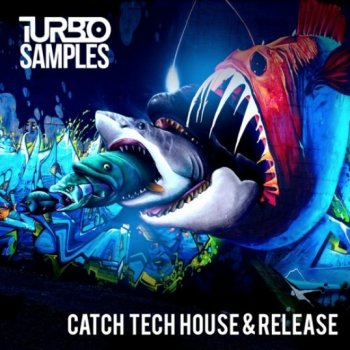 Сэмплы Turbo Samples Catch Tech House & Release