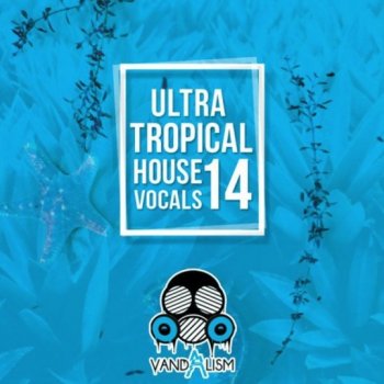 Сэмплы вокала - Vandalism Ultra Tropical House Vocals 14