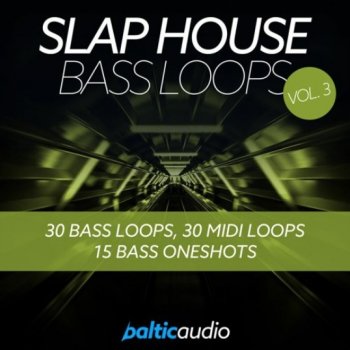 Сэмплы Baltic Audio Slap House Bass Loops Vol 3