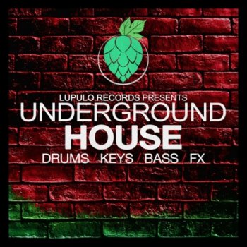 Сэмплы Lupulo Records Underground House