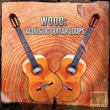 Сэмплы гитары - Toolbox Samples Wood Acoustic Guitar Loops