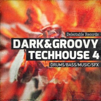 Сэмплы Delectable Records Dark And Groovy TechHouse 04