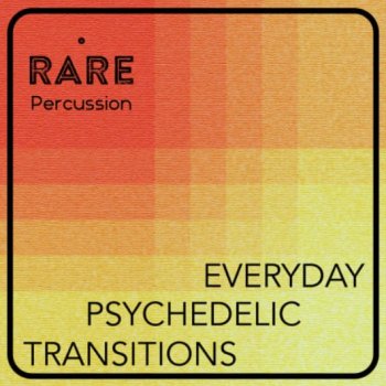 Сэмплы RARE Percussion Everyday Psychedelic Transitions Vol. 1