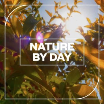 Звуковые эффекты - Blastwave FX Nature by Day