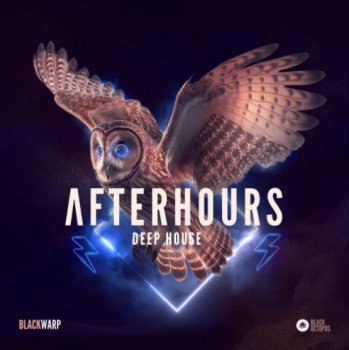 Сэмплы Black Octopus Sound Afterhours Deep House